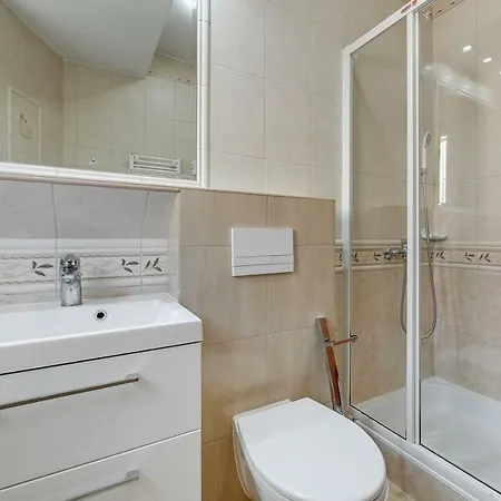 Aster * Władysławowo