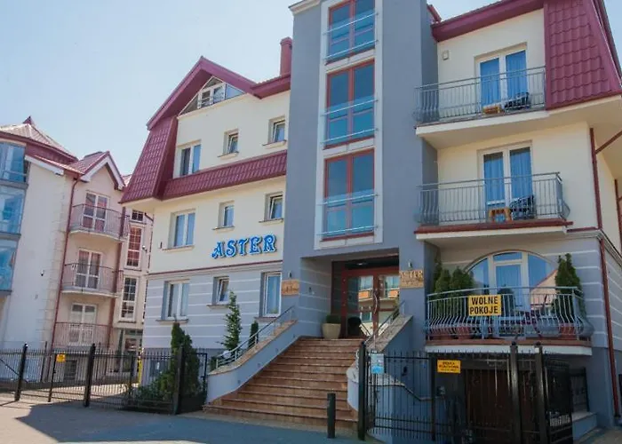 Aster Władysławowo