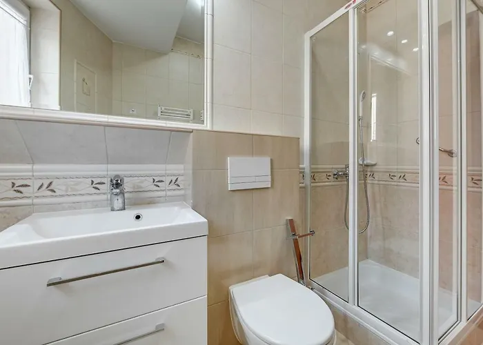 Aster * Władysławowo