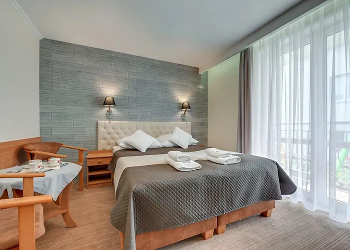 Aster * Władysławowo