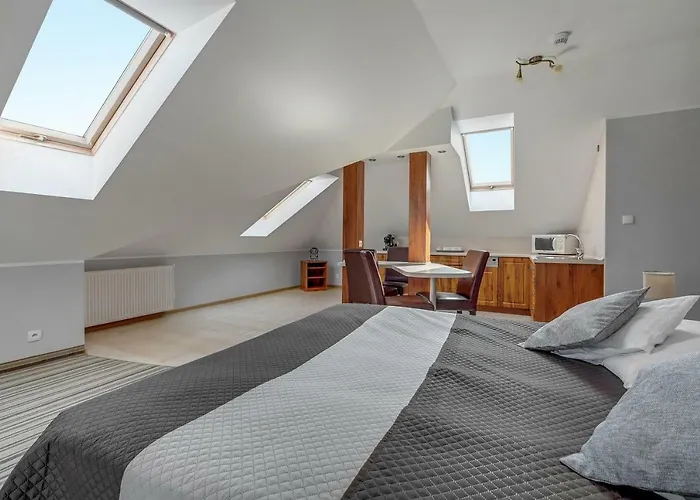 Aster Władysławowo