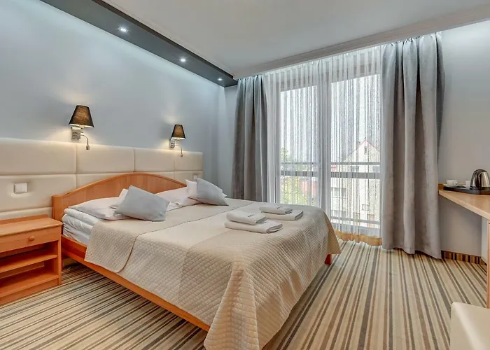 Aster * Władysławowo