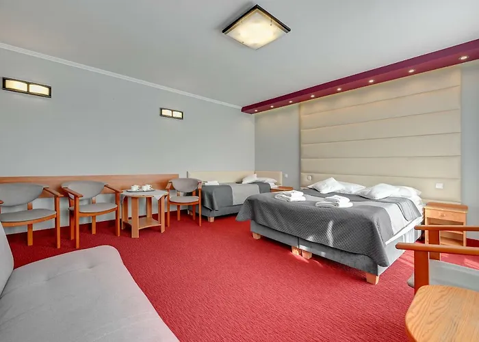 Aster Władysławowo