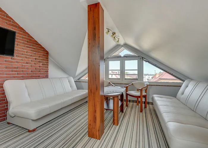 Aster Władysławowo