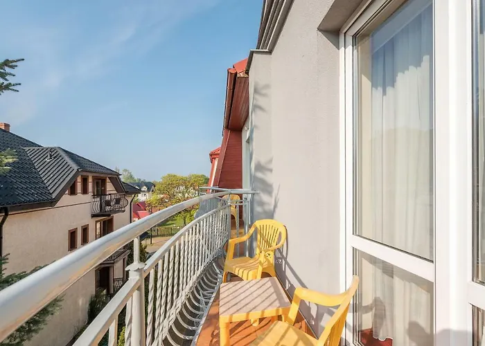 Aster Władysławowo